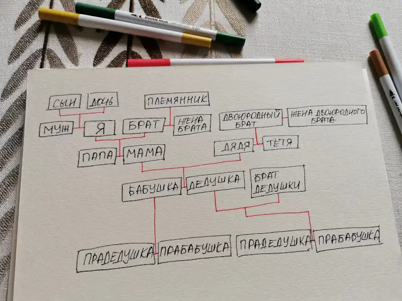 Как правильно нарисовать древо рода: пошаговое руководство