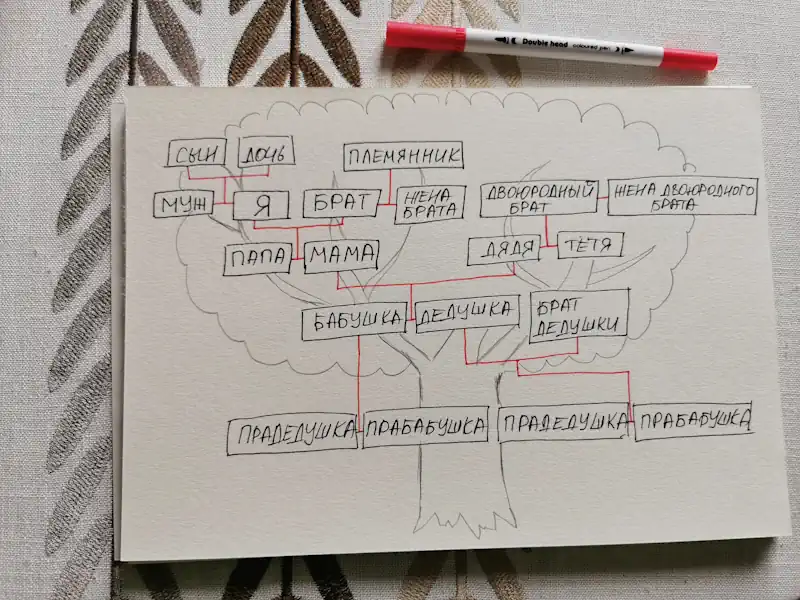 Как правильно нарисовать древо рода: пошаговое руководство