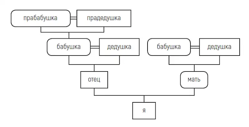 Что такое дерево рода?